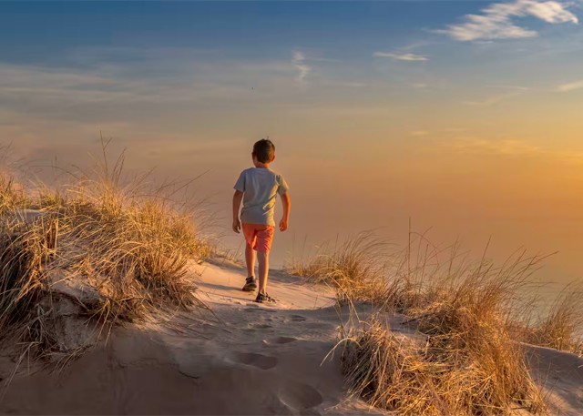 Dune Walks