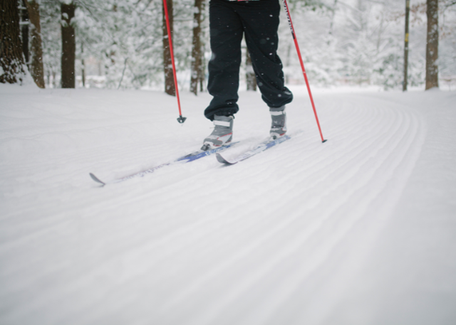 Cross-Country Skiing (Muskegon Winter Complex)